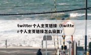 twitter个人主页链接（twitter个人主页链接怎么设置）