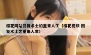 樱花网站回复术士的重来人生（樱花视频 回复术士之重来人生）