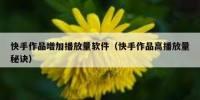 快手作品增加播放量软件（快手作品高播放量秘诀）