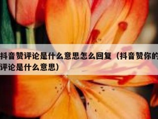 抖音赞评论是什么意思怎么回复(抖音赞你的评论是什么意思)