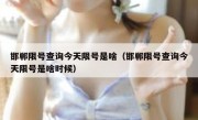 邯郸限号查询今天限号是啥（邯郸限号查询今天限号是啥时候）