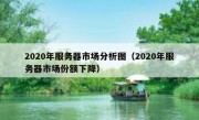 2020年服务器市场分析图（2020年服务器市场份额下降）