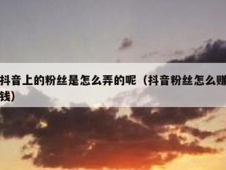抖音上的粉丝是怎么弄的呢（抖音粉丝怎么赚钱）