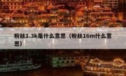 粉丝1.3k是什么意思（粉丝16m什么意思）