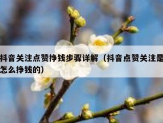 抖音关注点赞挣钱步骤详解(抖音点赞关注是怎么挣钱的)