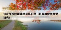 抖音加粉丝赚钱吗是真的吗（抖音加粉丝群要钱吗）