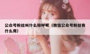 公众号粉丝叫什么称呼呢（微信公众号粉丝有什么用）