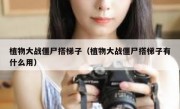 植物大战僵尸搭梯子（植物大战僵尸搭梯子有什么用）