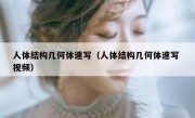 人体结构几何体速写（人体结构几何体速写 视频）