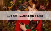 ins发不出（ins发不出照片怎么回事）