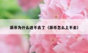 派币为什么进不去了（派币怎么上不去）