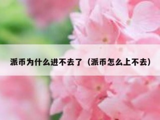 派币为什么进不去了（派币怎么上不去）