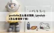 youtube怎么看点赞数（youtube怎么看谁赞了我）