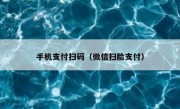 手机支付扫码（微信扫脸支付）