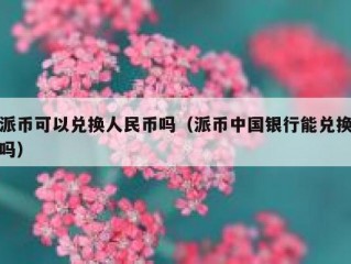 派币可以兑换人民币吗（派币中国银行能兑换吗）