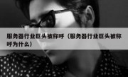 服务器行业巨头被称呼（服务器行业巨头被称呼为什么）