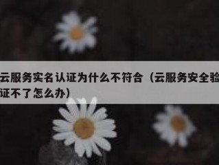 云服务实名认证为什么不符合（云服务安全验证不了怎么办）