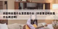 抖音粉丝是什么意思是什么（抖音里边粉丝是什么概念啊）