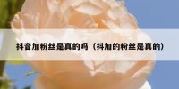 抖音加粉丝是真的吗（抖加的粉丝是真的）