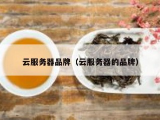 云服务器品牌（云服务器的品牌）