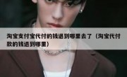 淘宝支付宝代付的钱退到哪里去了（淘宝代付款的钱退到哪里）