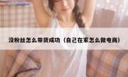 没粉丝怎么带货成功（自己在家怎么做电商）