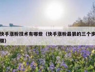 快手涨粉技术有哪些（快手涨粉最狠的三个步骤）