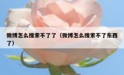微博怎么搜索不了了（微博怎么搜索不了东西了）