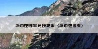 派币在哪里兑换现金（派币在哪看）