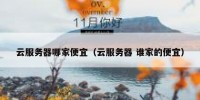云服务器哪家便宜（云服务器 谁家的便宜）