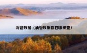 油管数据（油管数据都在哪里查）