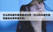 怎么购买国外服务器地址呢（怎么购买国外服务器地址呢苹果手机）