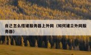 自己怎么搭建服务器上外网（如何建立外网服务器）