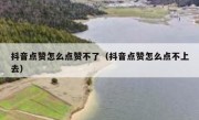 抖音点赞怎么点赞不了（抖音点赞怎么点不上去）