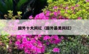 国外十大网红（国外最美网红）