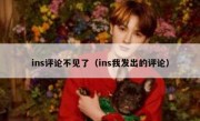 ins评论不见了（ins我发出的评论）