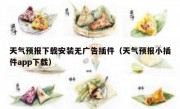 天气预报下载安装无广告插件（天气预报小插件app下载）