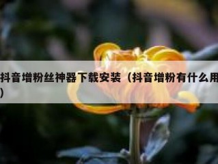 抖音增粉丝神器下载安装（抖音增粉有什么用）