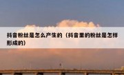抖音粉丝是怎么产生的（抖音里的粉丝是怎样形成的）