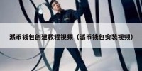派币钱包创建教程视频（派币钱包安装视频）