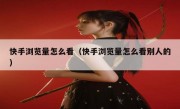 快手浏览量怎么看（快手浏览量怎么看别人的）