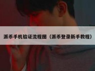 派币手机验证流程图（派币登录新手教程）