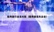 服务器行业龙头股（服务器龙头企业）