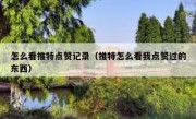 怎么看推特点赞记录（推特怎么看我点赞过的东西）