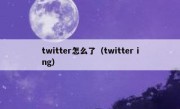 twitter怎么了（twitter ing）
