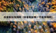 抖音粉丝挣钱吗（抖音粉丝够一千能挣钱吗）
