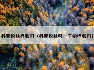 抖音粉丝挣钱吗（抖音粉丝够一千能挣钱吗）