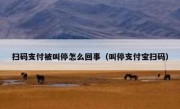 扫码支付被叫停怎么回事（叫停支付宝扫码）
