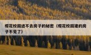 樱花校园进不去房子的秘密（樱花校园建的房子不见了）