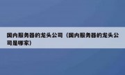 国内服务器的龙头公司（国内服务器的龙头公司是哪家）